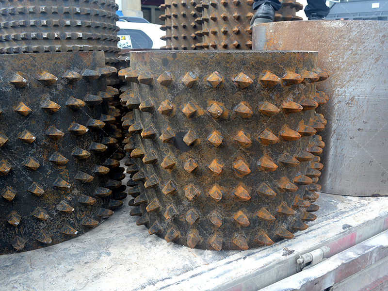 結構決定性能：雙齒輥的“雙齒咬合”設計，如何成就其優越破碎效果？